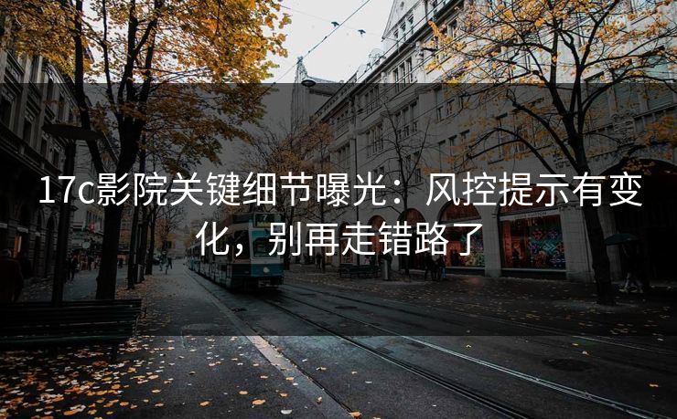 17c影院关键细节曝光：风控提示有变化，别再走错路了