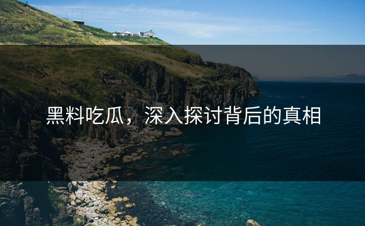 黑料吃瓜，深入探讨背后的真相