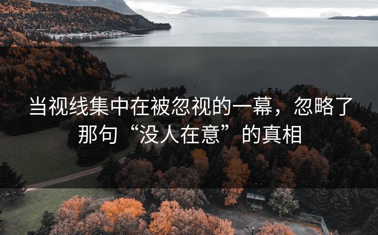 当视线集中在被忽视的一幕，忽略了那句“没人在意”的真相