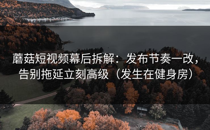 蘑菇短视频幕后拆解：发布节奏一改，告别拖延立刻高级（发生在健身房）